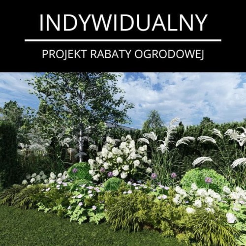 Indywidualny projekt rabaty ogrodowej